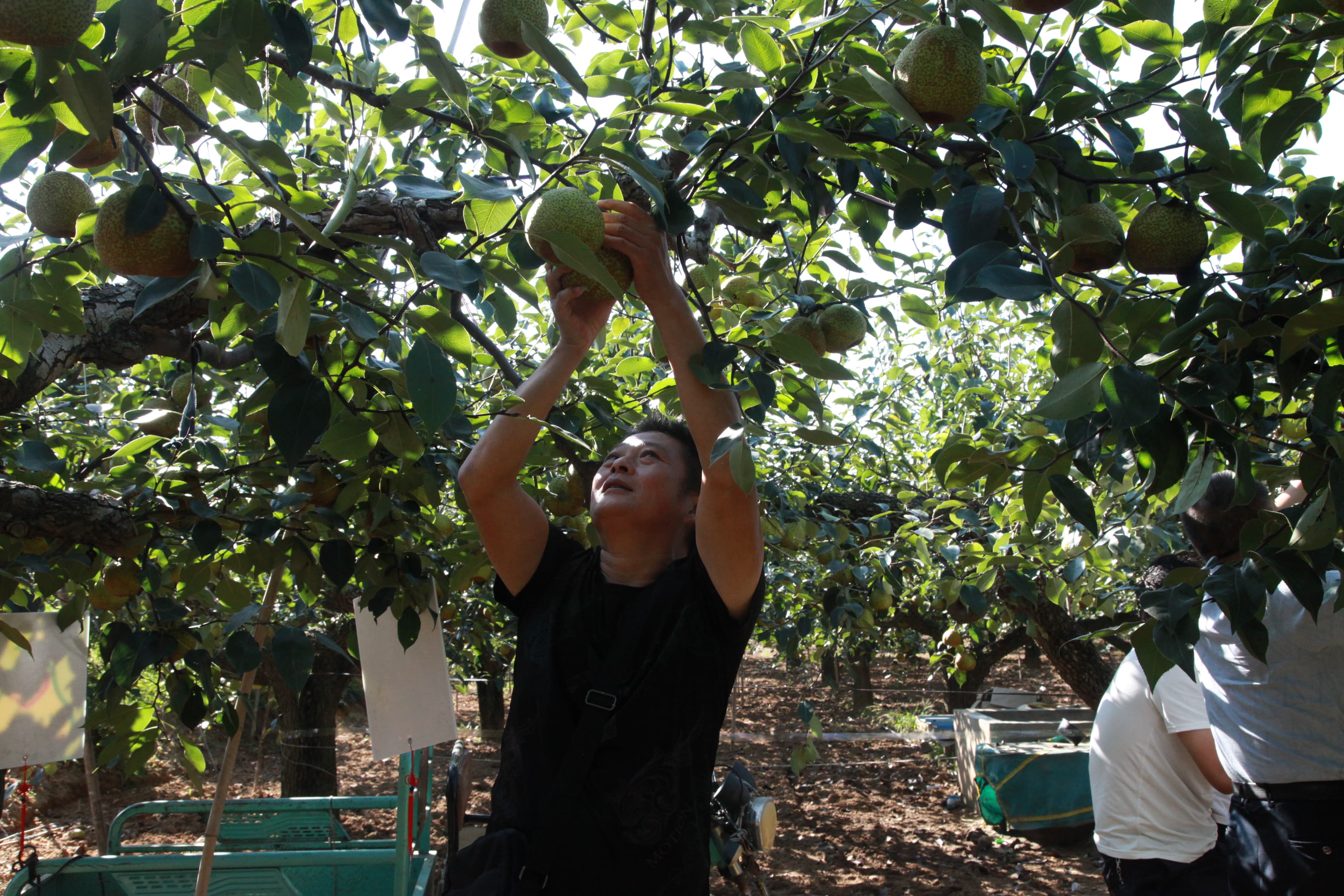 ������ʱ - �������ǲ�!